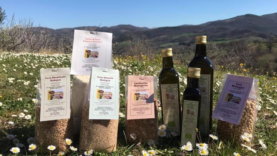 Agriturismo Il Castello Assisi Bagian luar foto